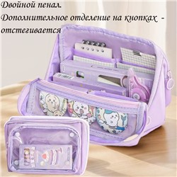 Penal-712-Purple
