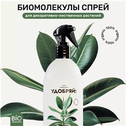 Биомолекулы СПРЕЙ для декоративно-лиственных растений 500мл