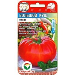 Томат Большой куш (Сиб Сад)