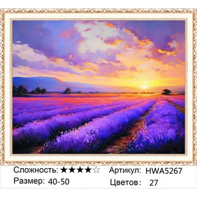 AM45 HWA5267, 40х50 см