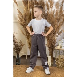 Брюки с лампасами (футер с начесом) 2-206б