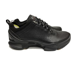 Кроссовки Ecco Biom natural