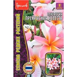 Цв.Плюмерия Прекрасная невеста (Григорьев) 3шт