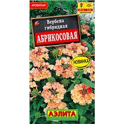 Вербена Абрикосовая Аэлита