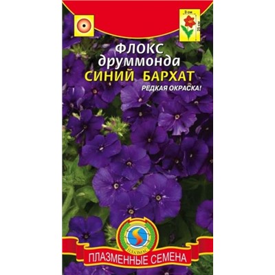 Цв.Флокс Синий бархат Друммонда (Плазма) 0,1г