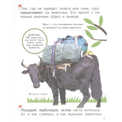 Техника. Энциклопедия для первого чтения с крупными буквами