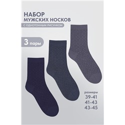 Носки мужские Эрик комплект 3 пары