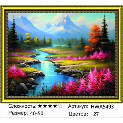 AM45 HWA5493, 40х50 см