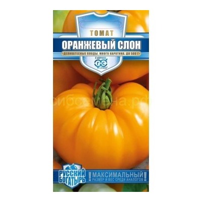 Томат Оранжевый слон (Гавр)