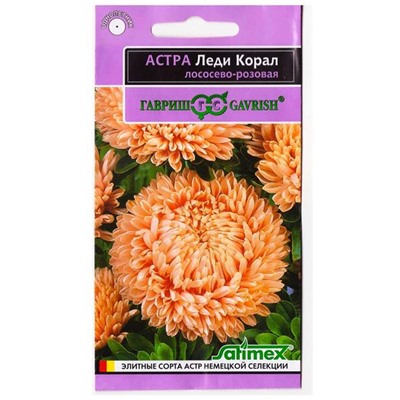 Астра Леди Коралл Лососево-розовая (Код: 78626)