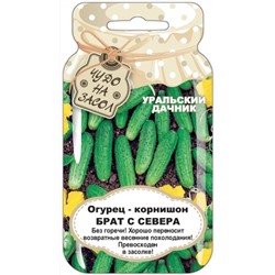 Огурец Брат с Севера (УД) БАНКА 10шт