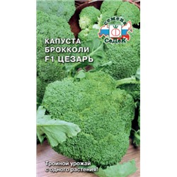 Капуста Брокколи Цезарь F1 (СеДек) 0,3г