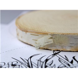 Набор для выжигания по дереву (аппарат с насадками, доски 3 штуки, спил 1 штука)