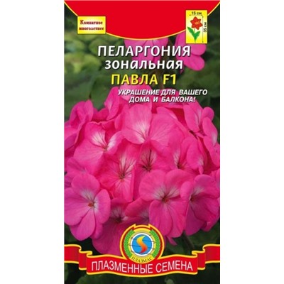 Цв.Пеларгония Павла F1 (Плазма) ком. 3шт