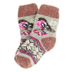 Носки детские "Снегирь и орнамент" 6455-5