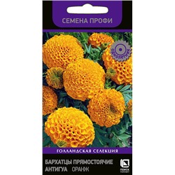 Бархатцы Антигуа Оранж прямостоячие (П)