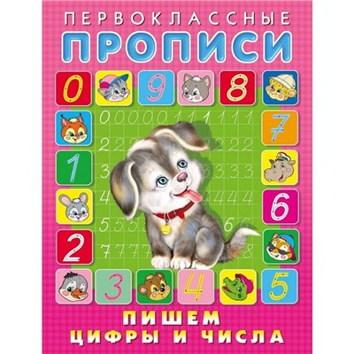 Прописи Первоклассные.  Пишем цифры и числа 16стр. 21*14см 25069