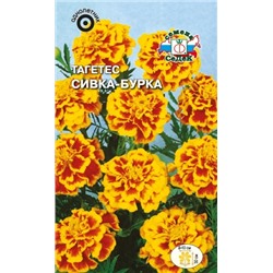 Цв.Барх.Сивка-Бурка отклон. (Седек) 0,2г