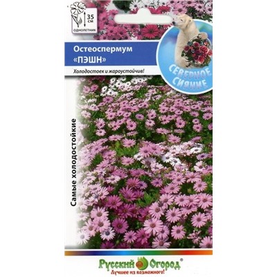 Цв.Остеоспермум Пэшн смесь (НК) 15шт