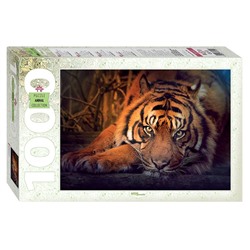 Пазлы1000 Сибирский тигр  79142