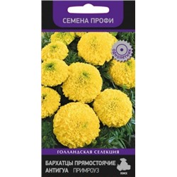 Цв.Барх.Антигуа Примроуз низ. (Поиск) 15шт