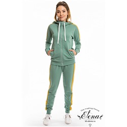 Костюм (толстовка+брюки) 32105б