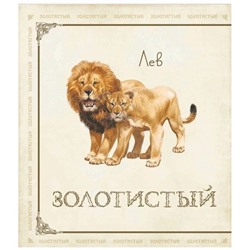 Живые цвета
