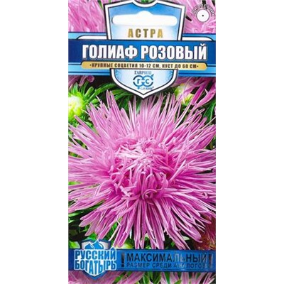 Астра Голиаф розовый (Код: 84818)