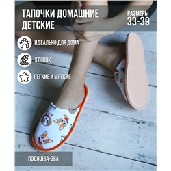 Тапочки домашние С-6ДМ(д)-МР