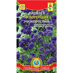 Василек Флоренция (Код: 75133)
