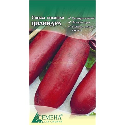Свекла Цилиндра, 2г (цв.)