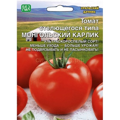 Томат Монгольский Карлик (УД)