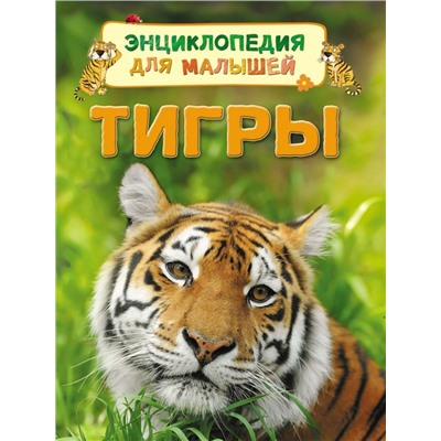 Тигры. Энциклопедия для малышей