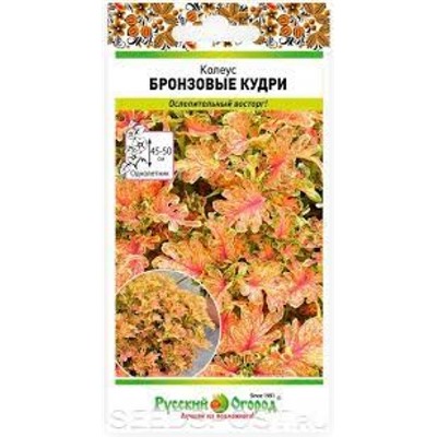 Цв.Колеус Бронзовые кудри (НК) 10шт