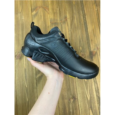 Кроссовки Ecco Biom natural