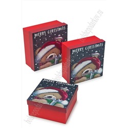 Коробки квадратные 3 в 1, 20*20*9,5 см (SF-7564) №16