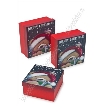 Коробки квадратные 3 в 1, 20*20*9,5 см (SF-7564) №16