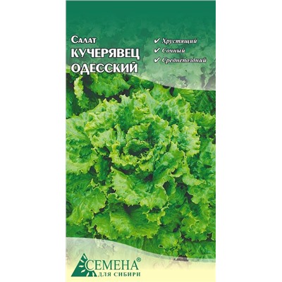 Салат Кучерявец Одесский, 0,5г (цв.)