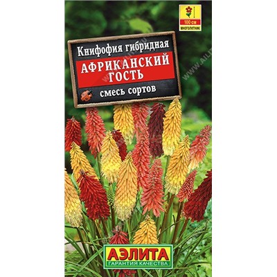 Книфофия Африканский гость смесь окрасок (Аэлита)