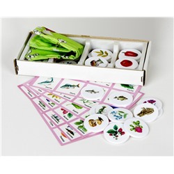 Лото с пластиковыми фишками «Родная природа»