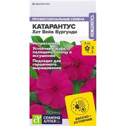 Катарантус Хит Вейв Бургунди (Алтай)