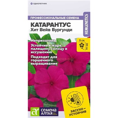 Катарантус Хит Вейв Бургунди (Алтай)