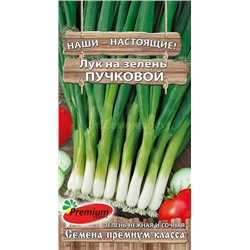 Лук  на зелень Пучковой (Премиум)