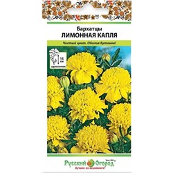 Бархатцы Лимонная капля (НК)