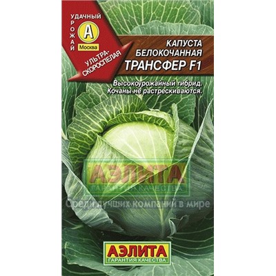 Капуста бк Трансфер F1 (Аэлита)