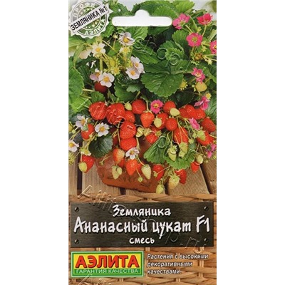 Клубника Ананасный цукат F1 (Код: 93108)