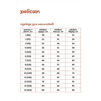 Футболка PELICAN #966088
