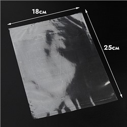 Пакет прозрачный 18*25 см, Без клейкой полоски