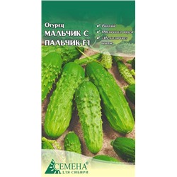 Огурец Мальчик с пальчик F1, 0,2г (цв.)