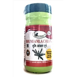 BHUMI AMLA CHURNA, Karmeshu (БХУМИ АМЛА ЧУРНА, Кармешу), 100 г.